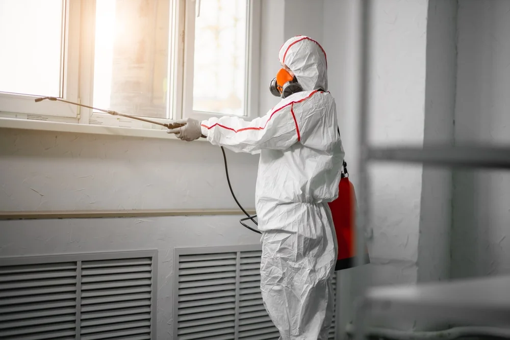 Professional mold remediation services in Post, OR